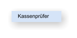 Kassenprüfer